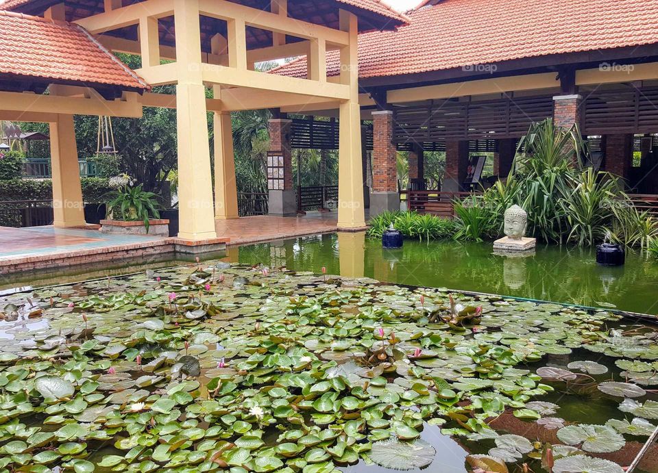 lotus ponds resort