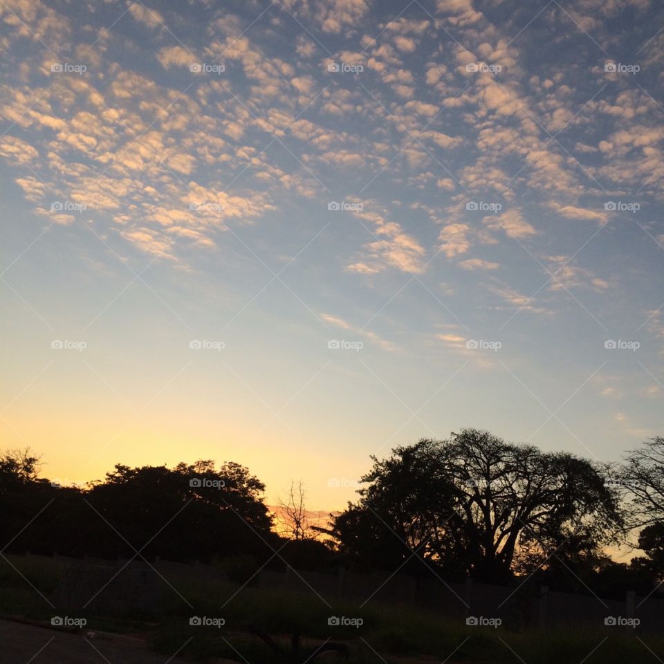 Um amanhecer de manhã qualquer. Cores no céu que nos encantam com a silhueta do mato. 