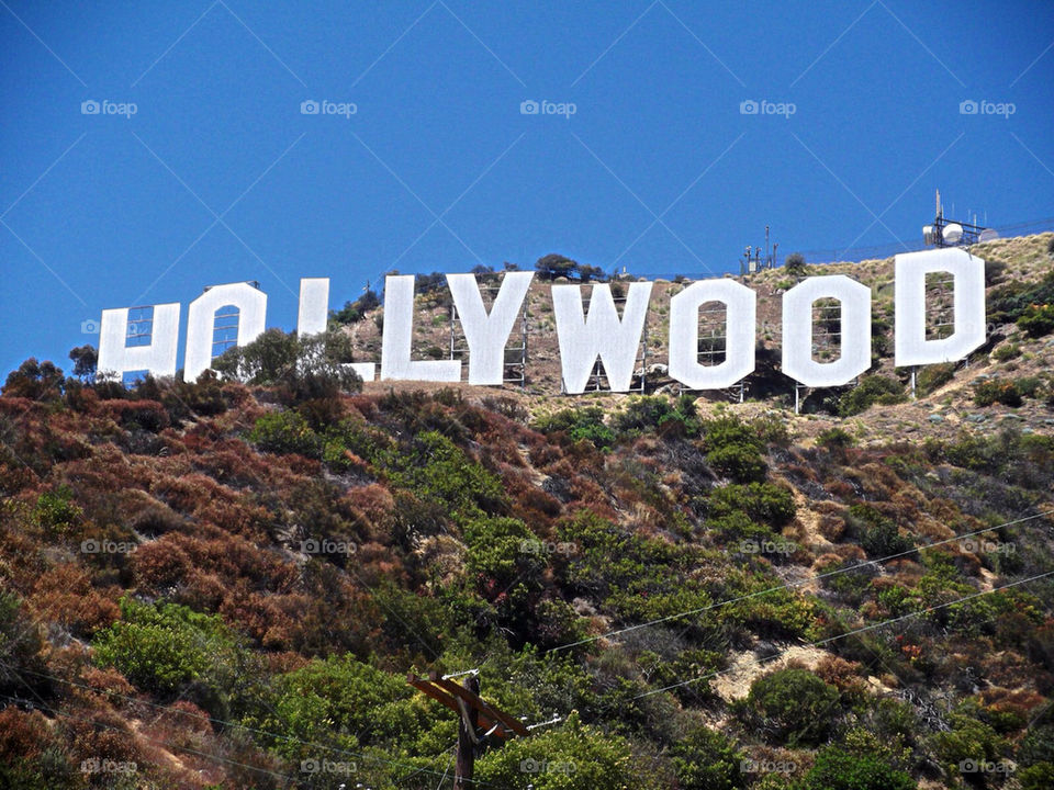 Welcome to Hollywood