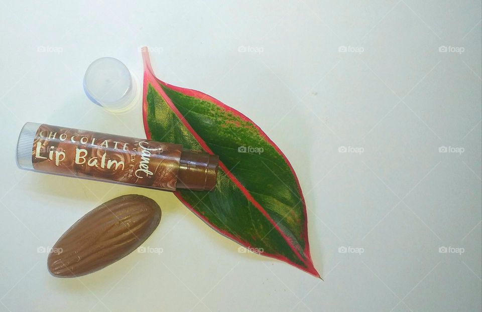 This photo shows a chocolate lip balm - Janet Ayurveda product for Normal - dry lips decorated with a beautiful leaf and a piece of chocolate.