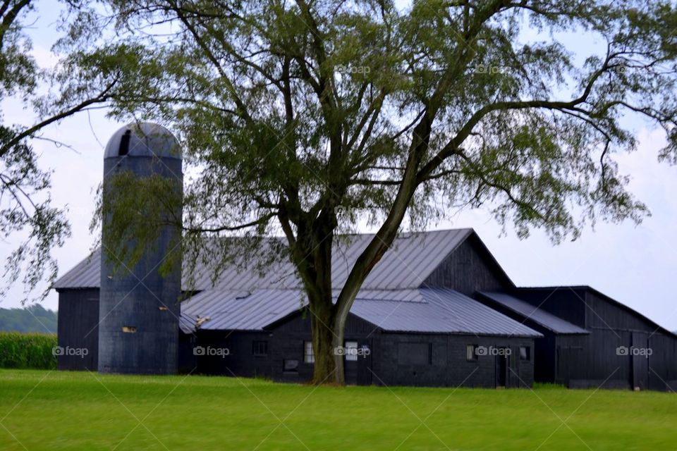 black barn