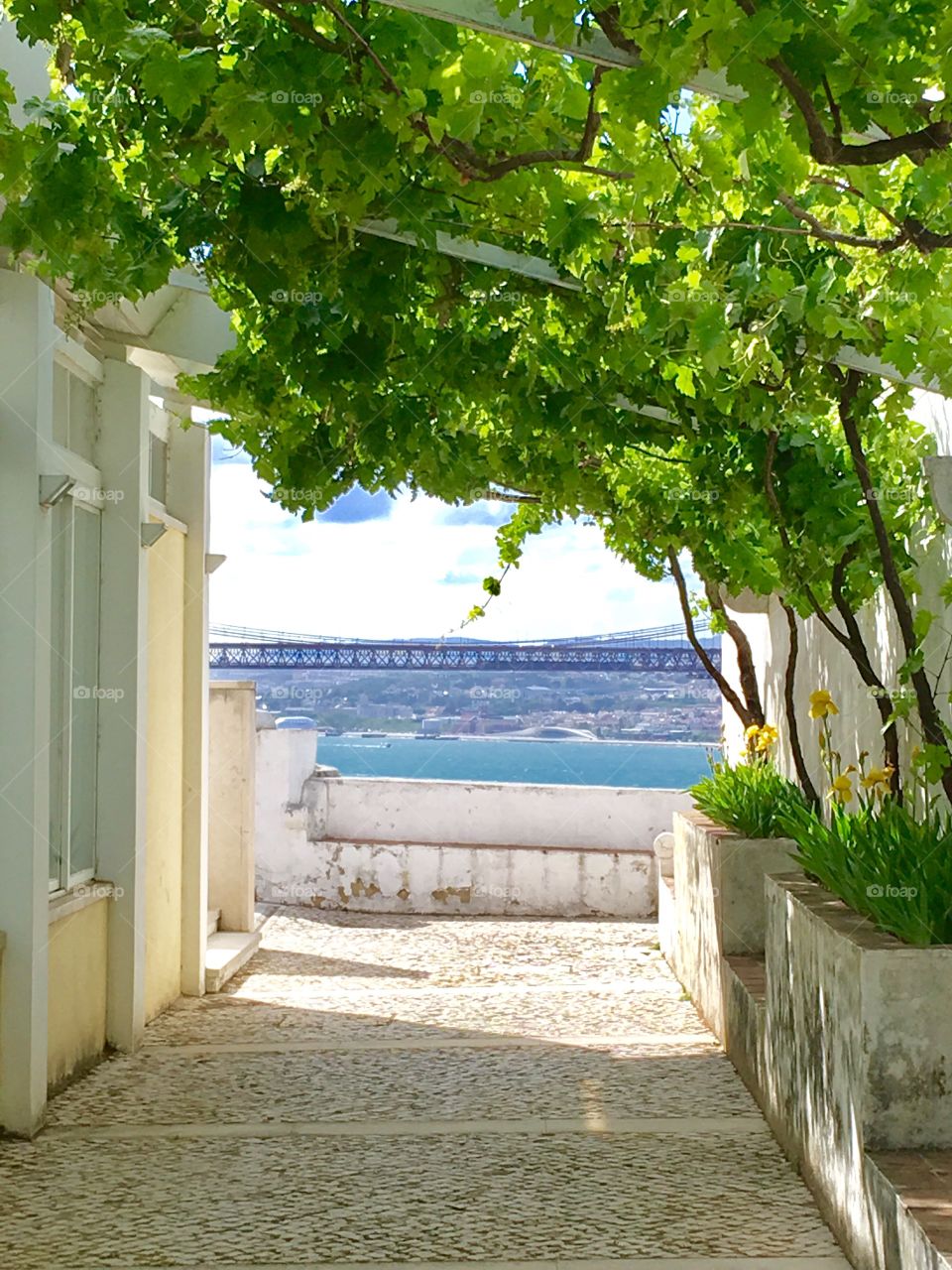 Beautiful view to lisbon's bridge 