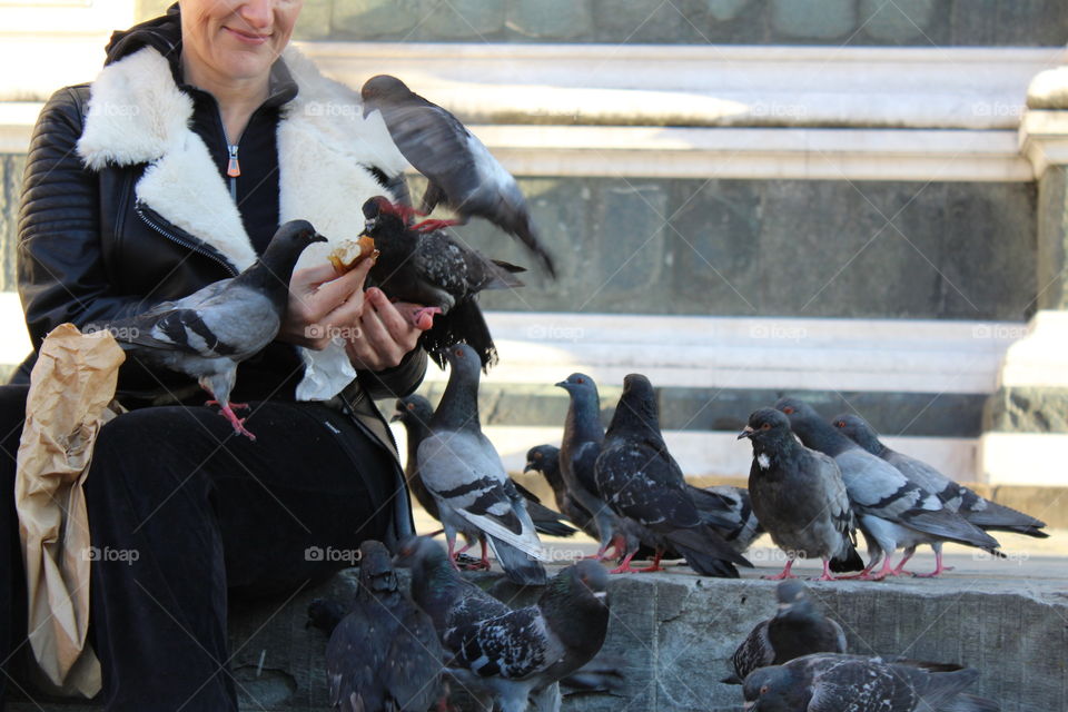 feeding pigeons