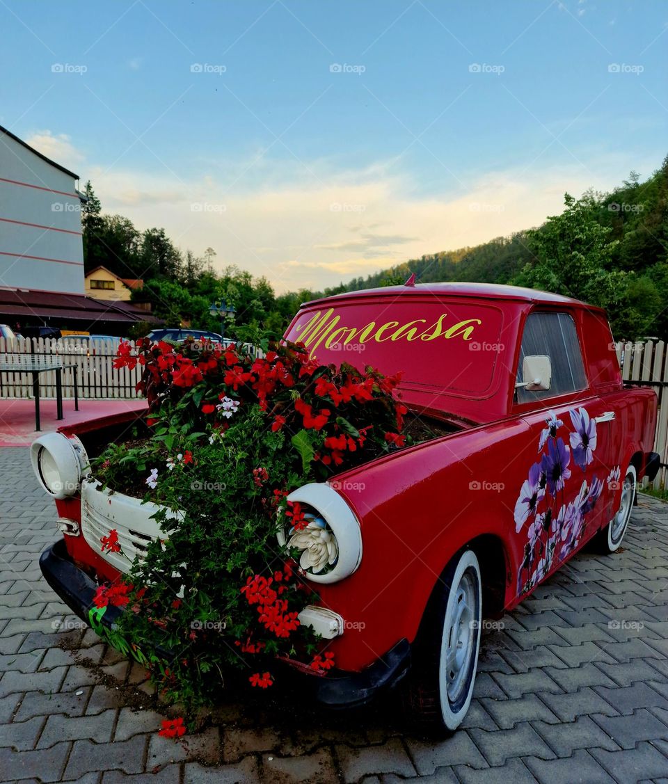 magenta car and flowers