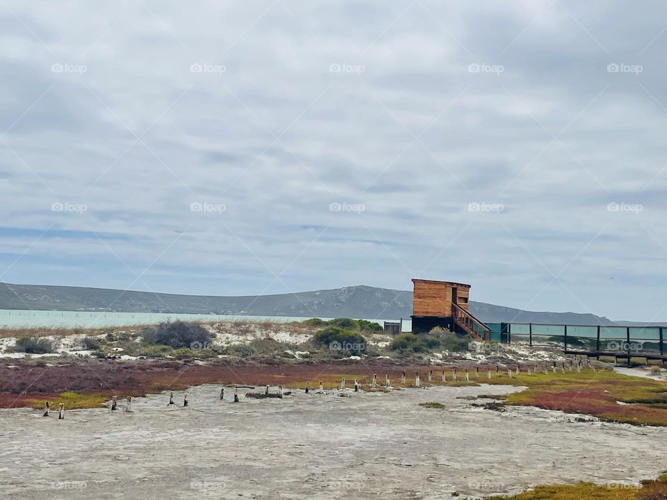 A bird's house. Watching all the birds in the area.