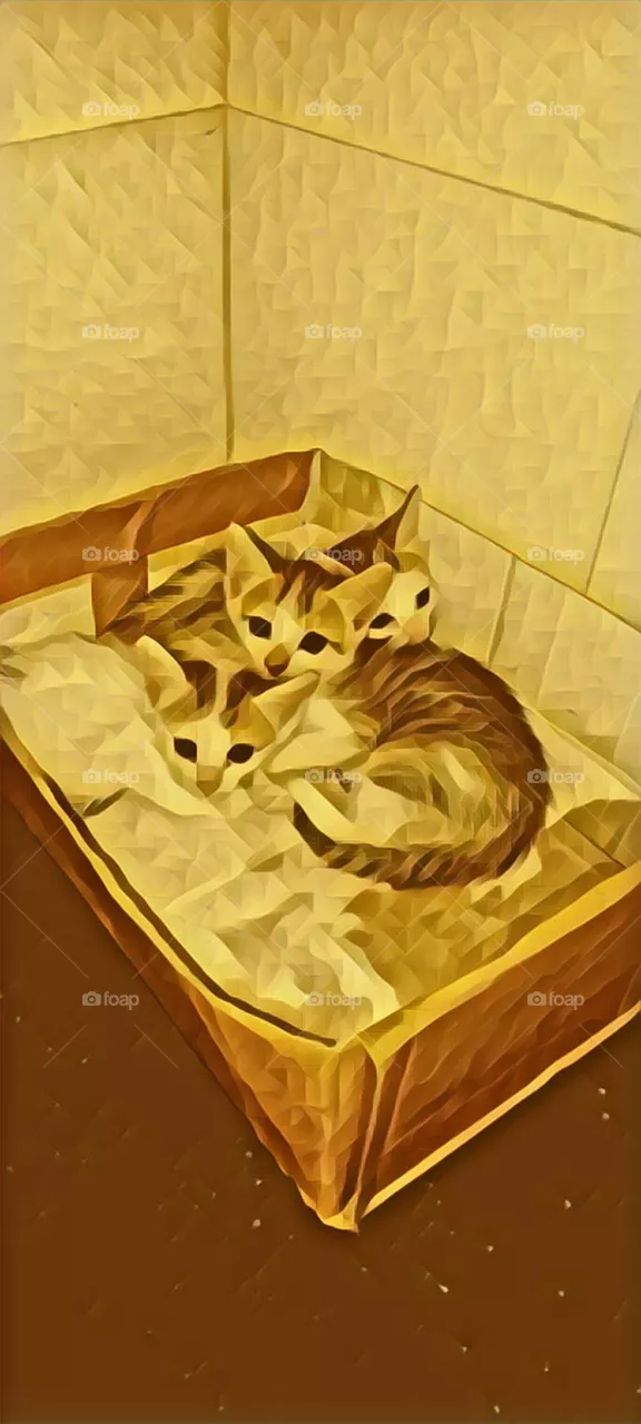 CAT love