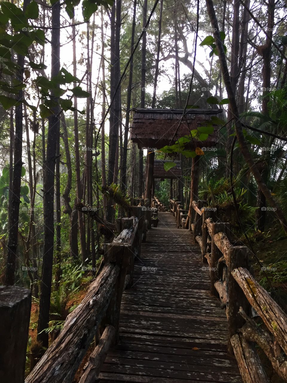 Nothing to do this way