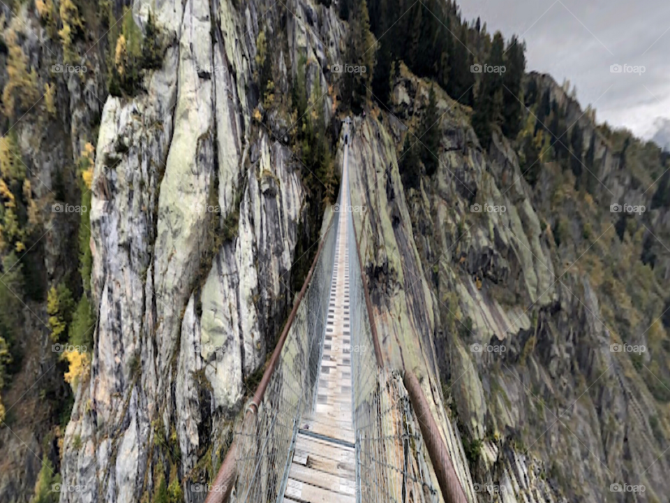 The suspension bridges in Switzerland