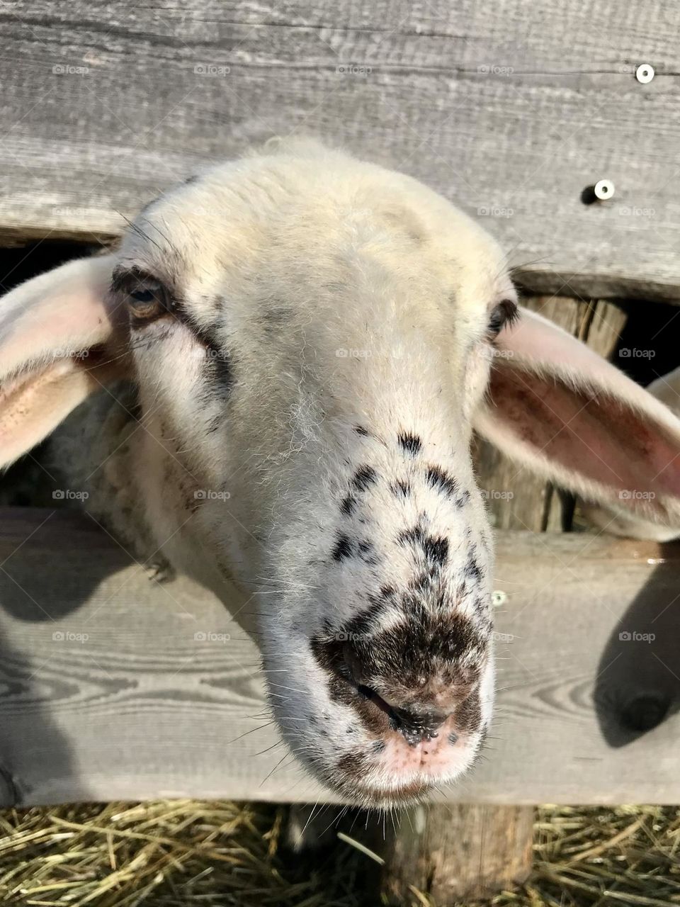 What are you looking at?