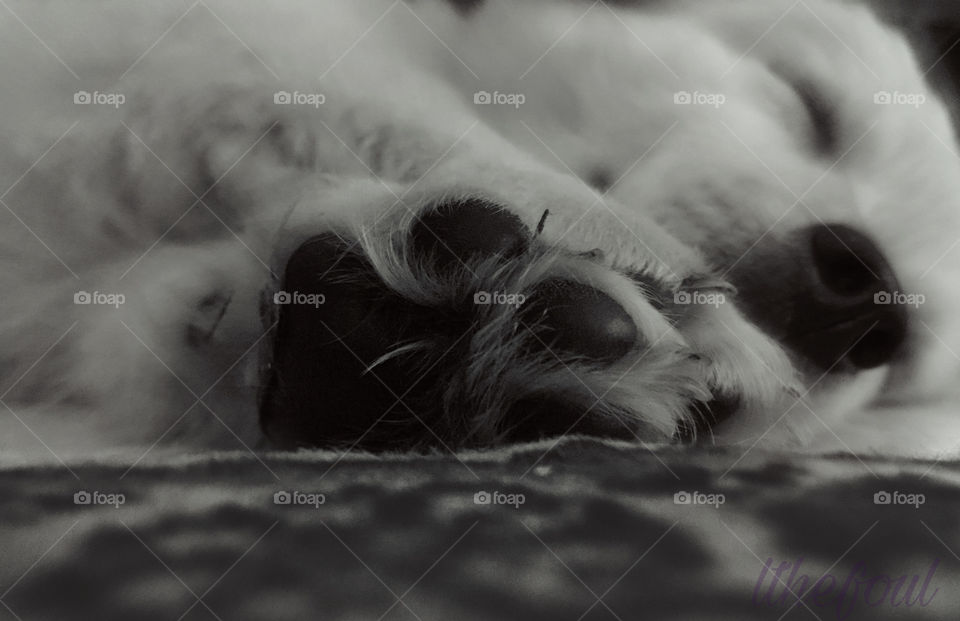 He’s dreaming 😴