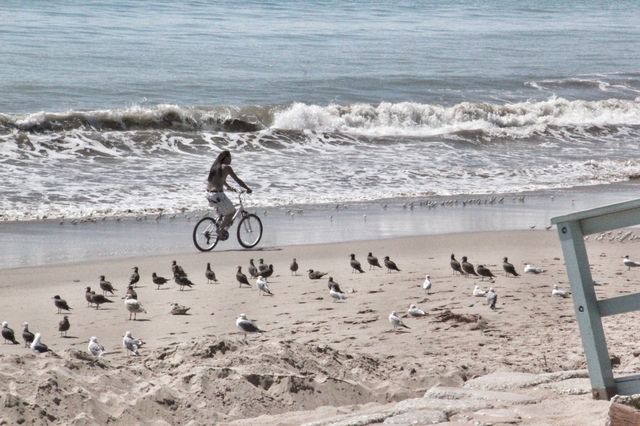 Bicycling in the beach. Bicycling on the beach 