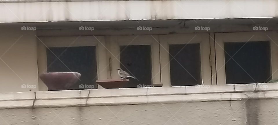 It's hot out so my mom says take a lot of water for your energy to maintain