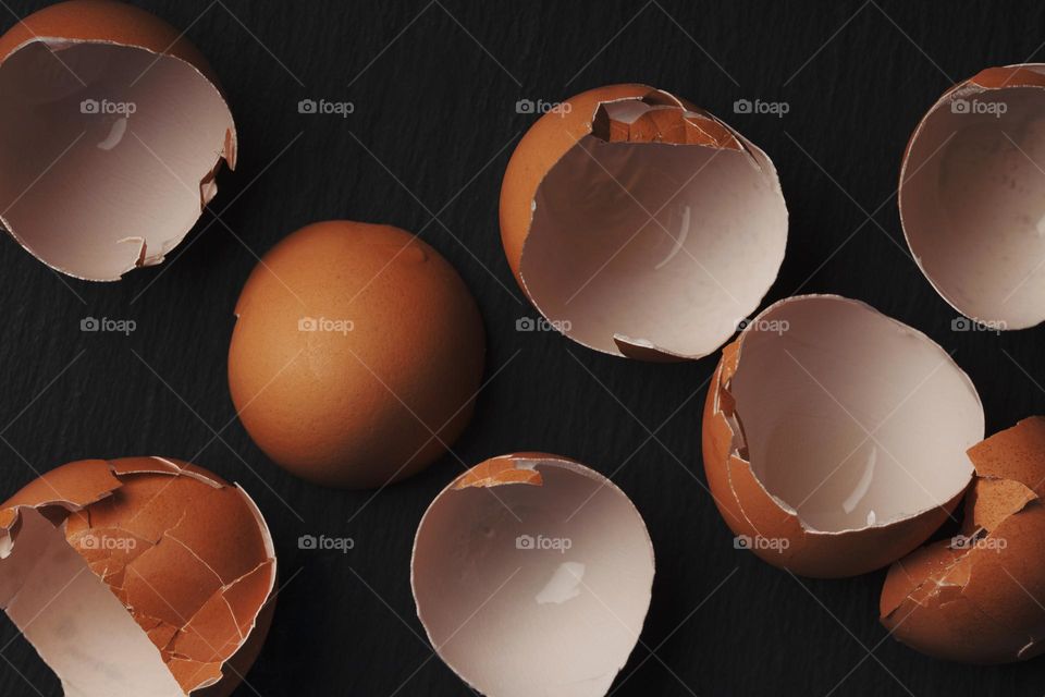Brown egg shell on dark background
