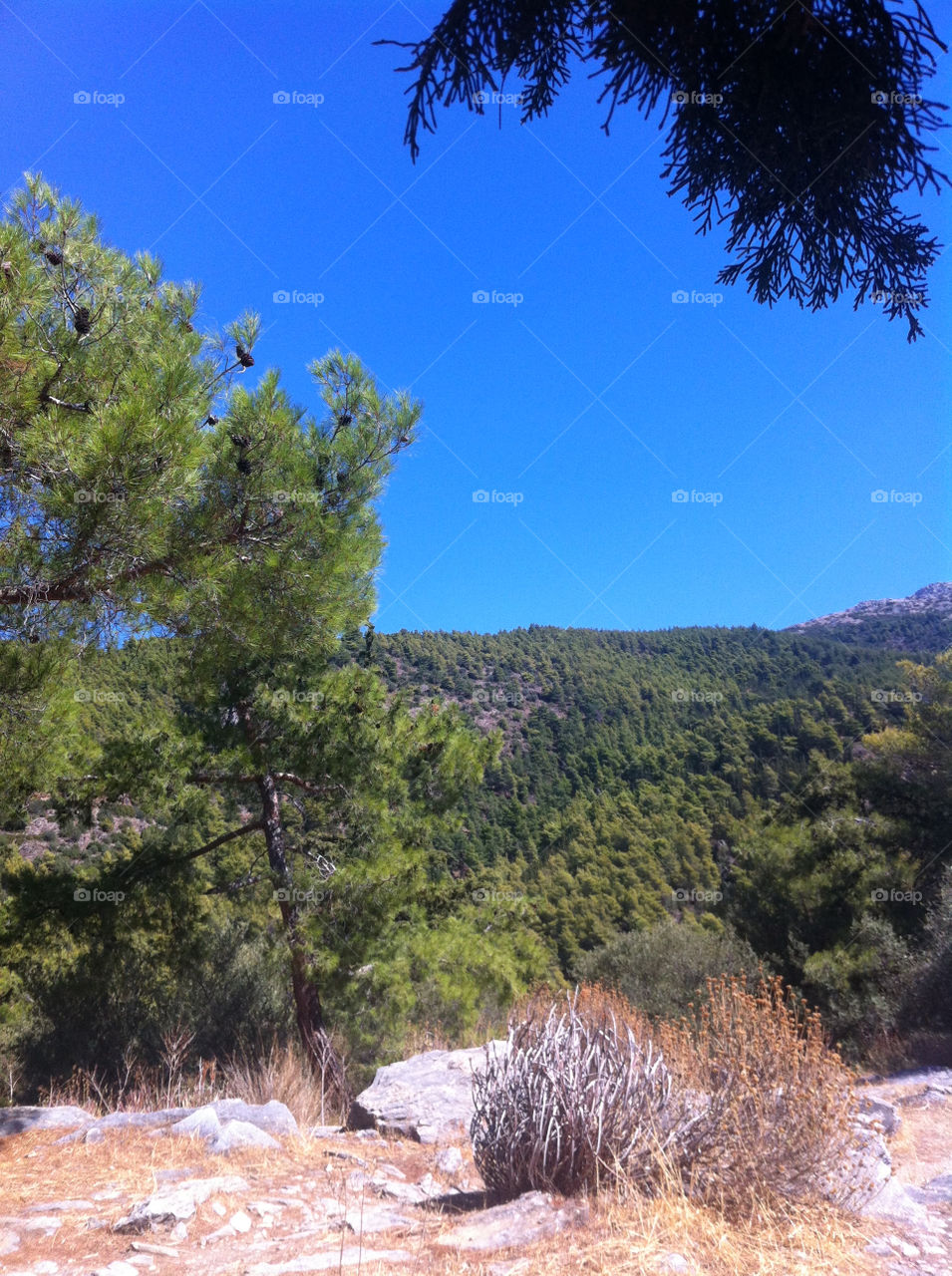 sky nature blue mountain by cpilichos