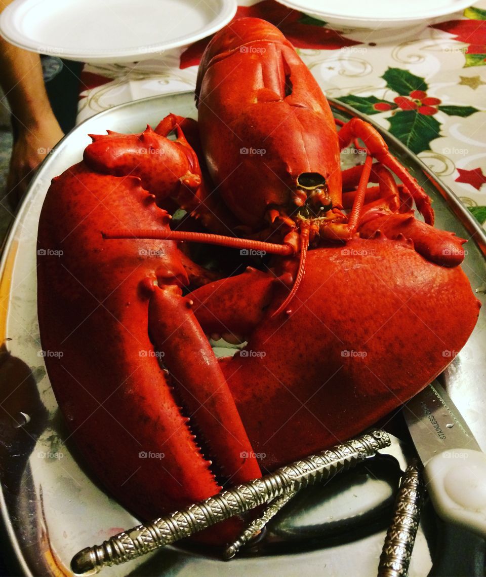 Lobster dinner! The beautiful deep pigmented reddish-orange shell. The gigantic  claws showcasing its beautiful exotic strength. Provoking the viewer with temptation and potential of a meaty feast. All you can think is "YUM" 