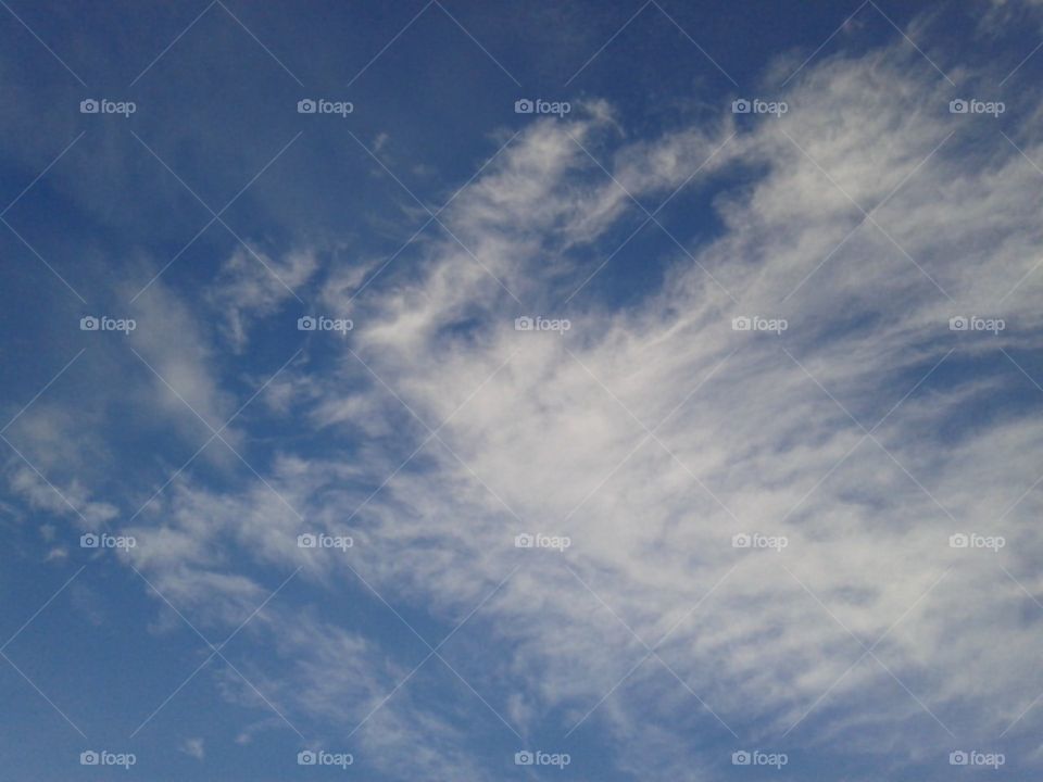 A fire phoenix flies in the blue sky.