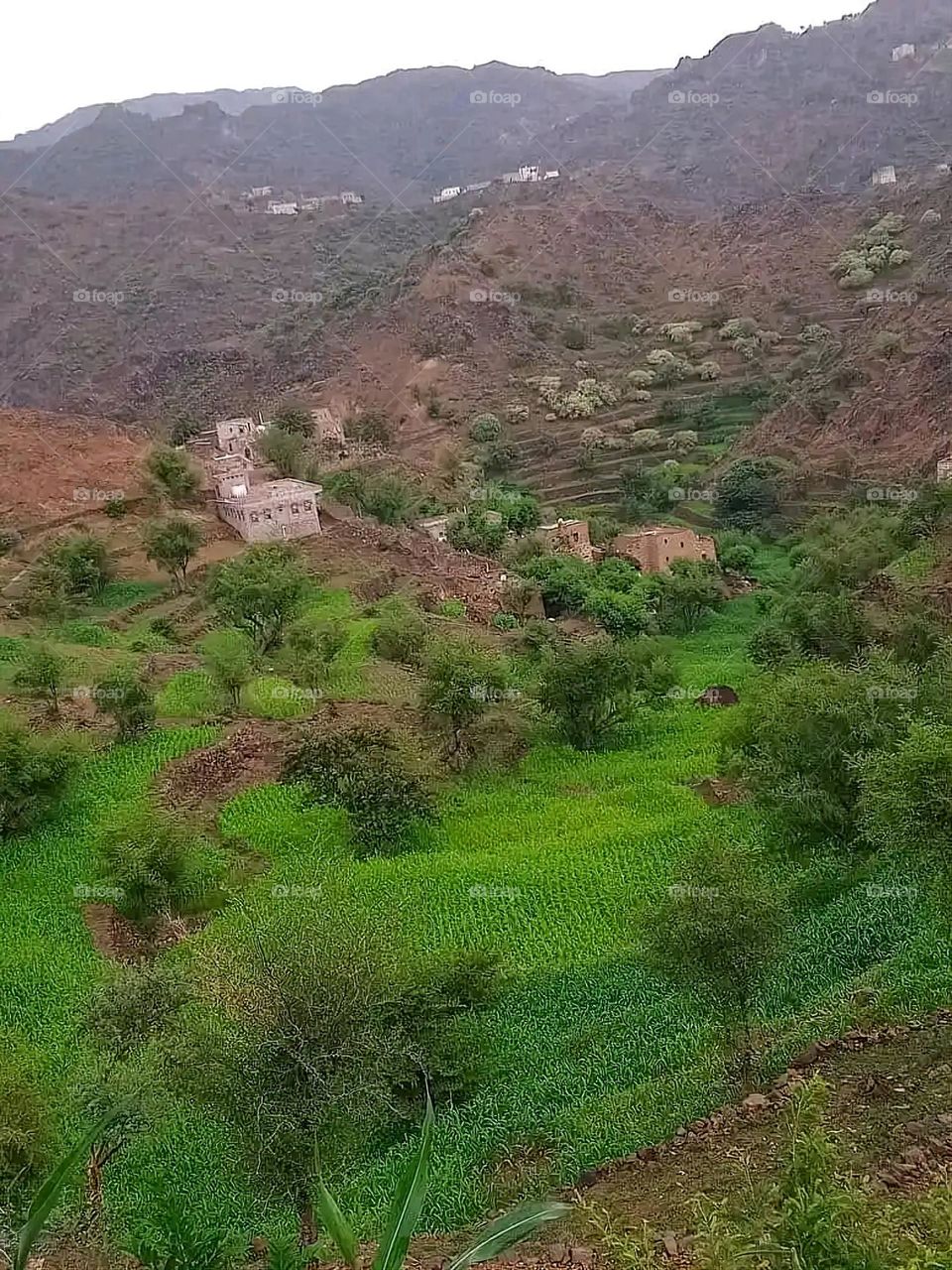 Glory be to God, the magnificent and picturesque view and the natural green trees are a view that is nothing more wonderful than it