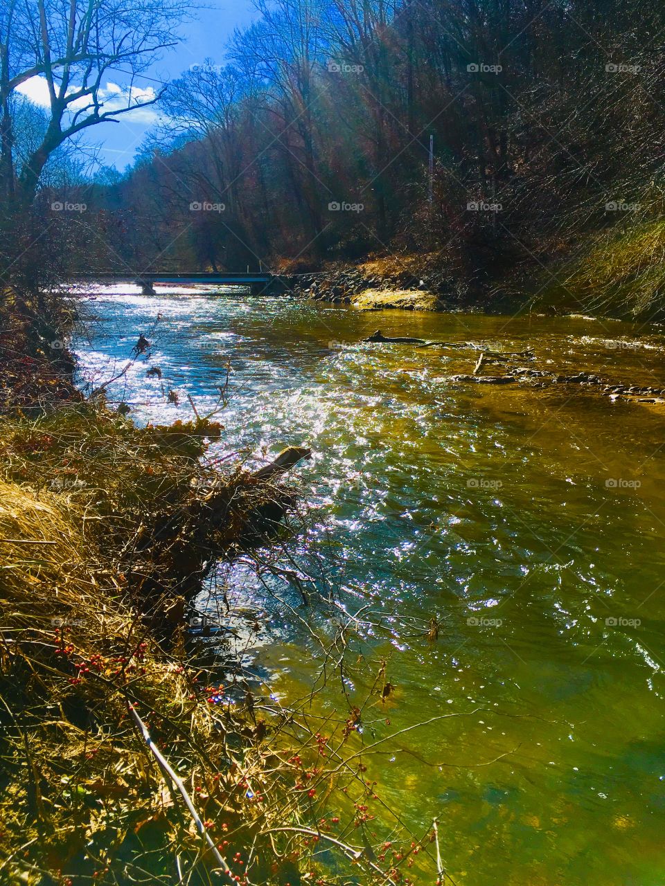 Creek 