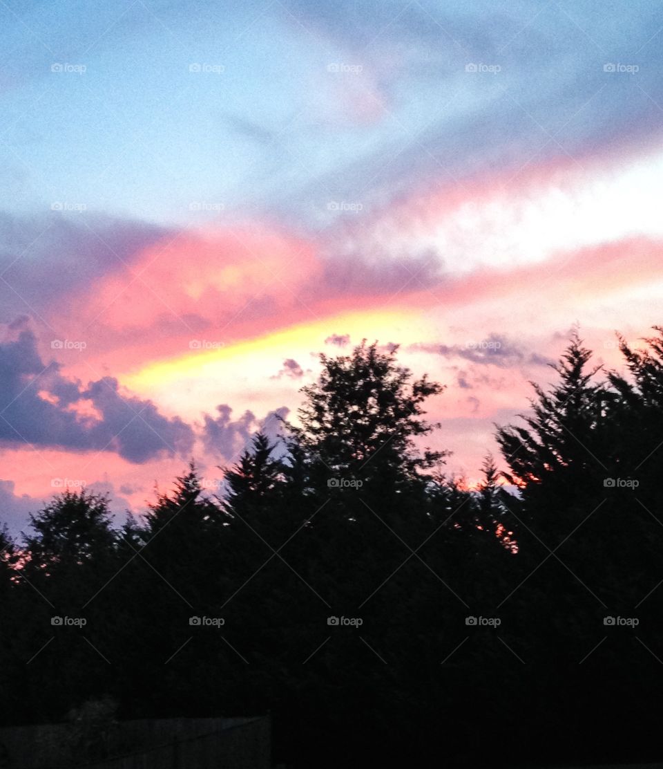 Sunset in Virginia 4