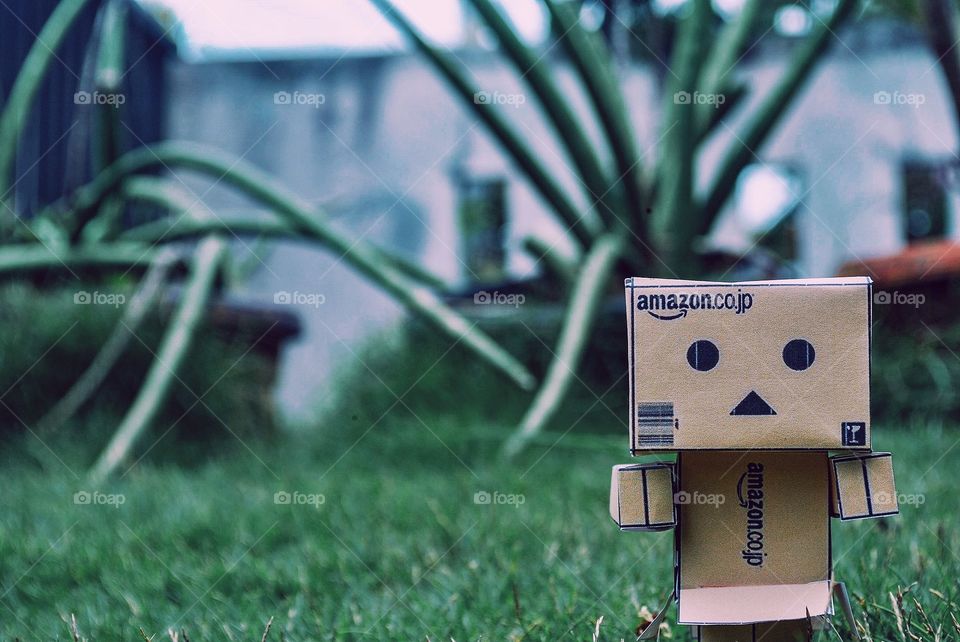 Danbo