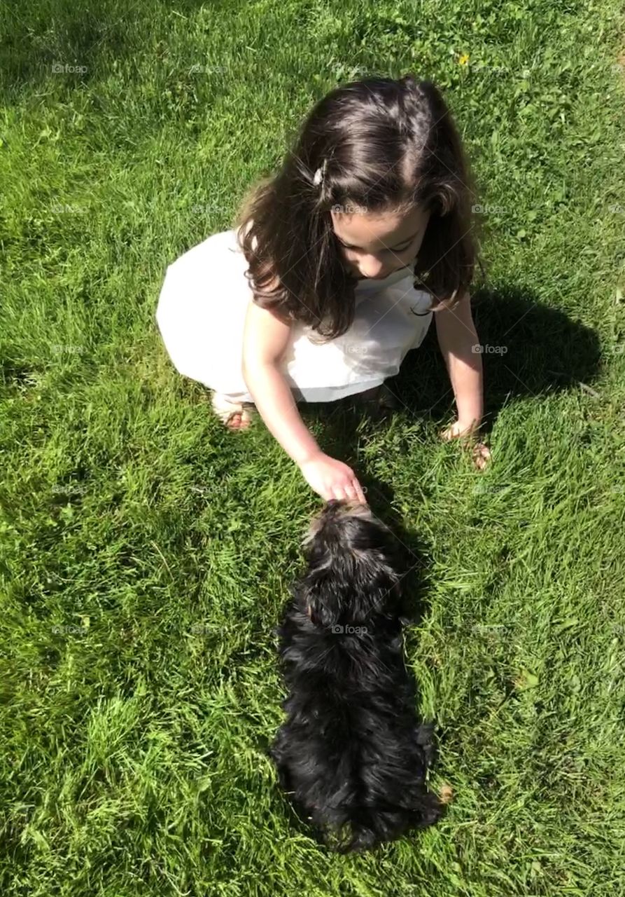 Little girl playing with puppy on the grass