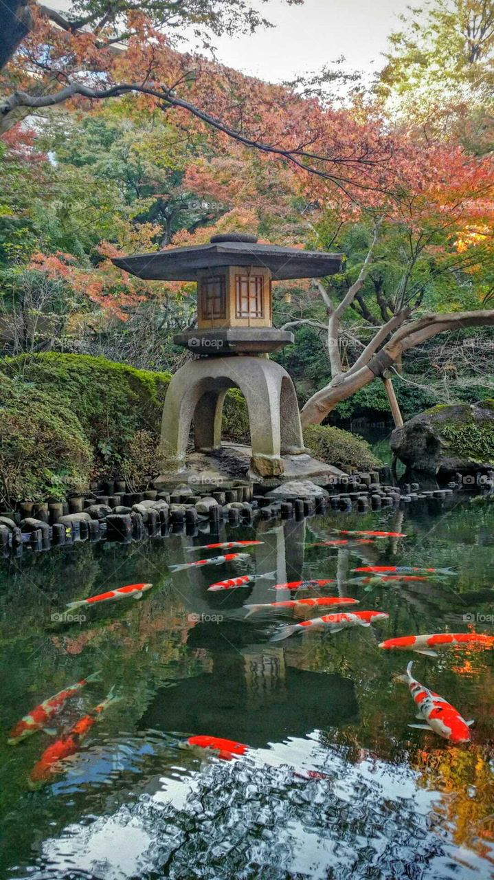 Traditional Japanese garden...so serene, so breathtaking!!!