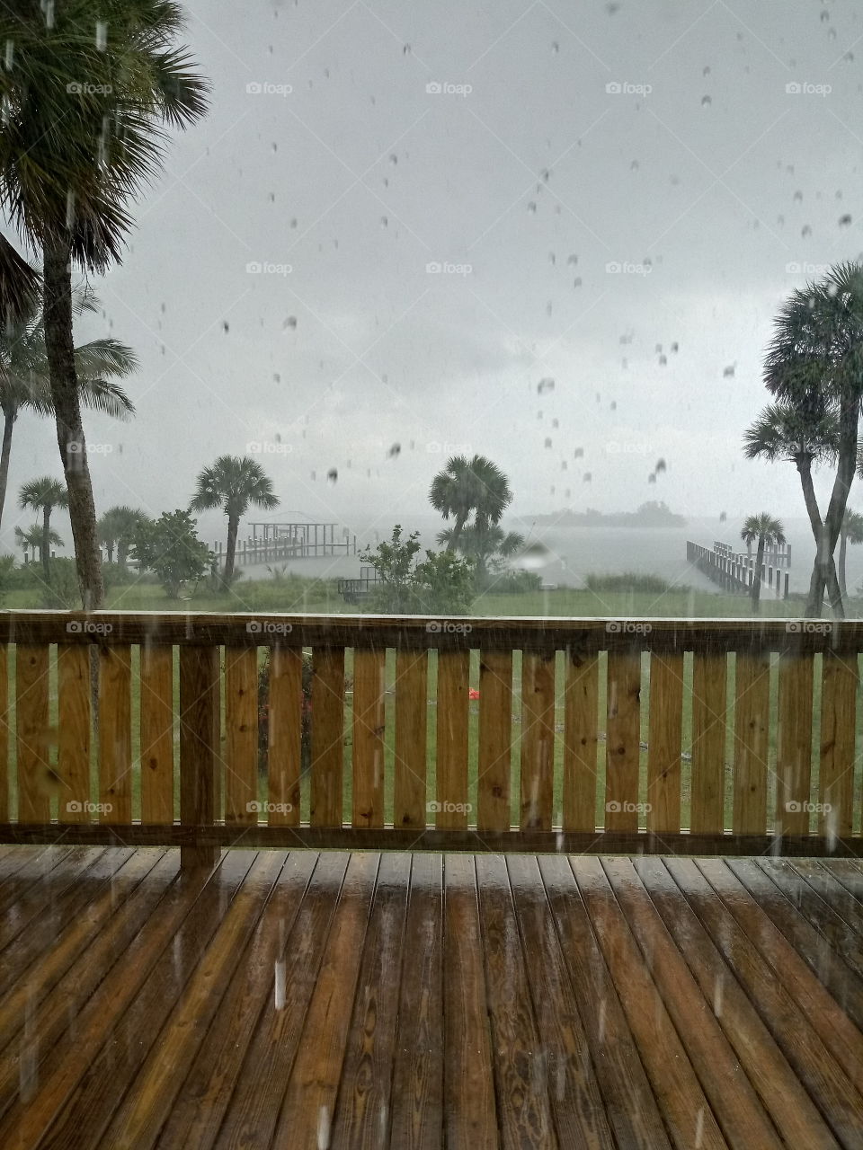tropical rainy day