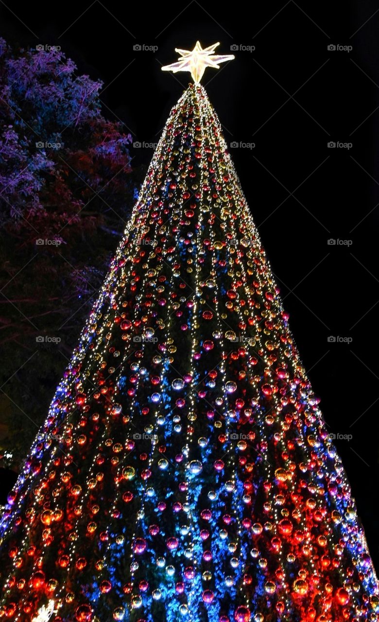 X Max Tree...
#xmax #christmas #tree #lights #nightphotography #light #colombo #celebration #celebzstart #lightphotography #nikon #nikond7200 #nikonshooter #photo #photography #photooftheday #photoshoot #zgraphy