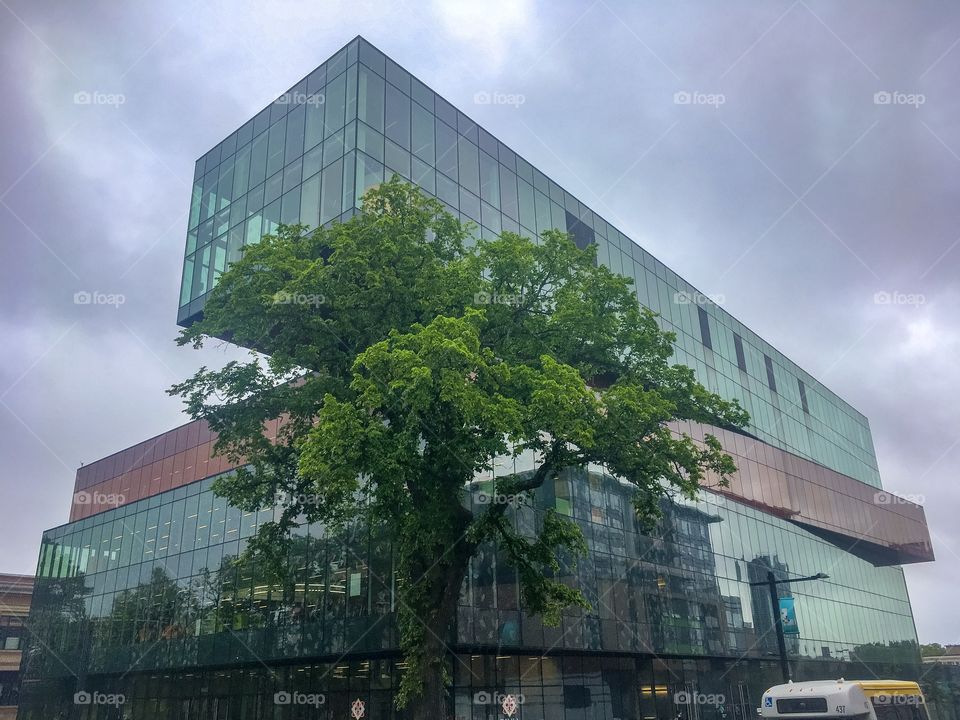Halifax Central Library under the gloomy rain 