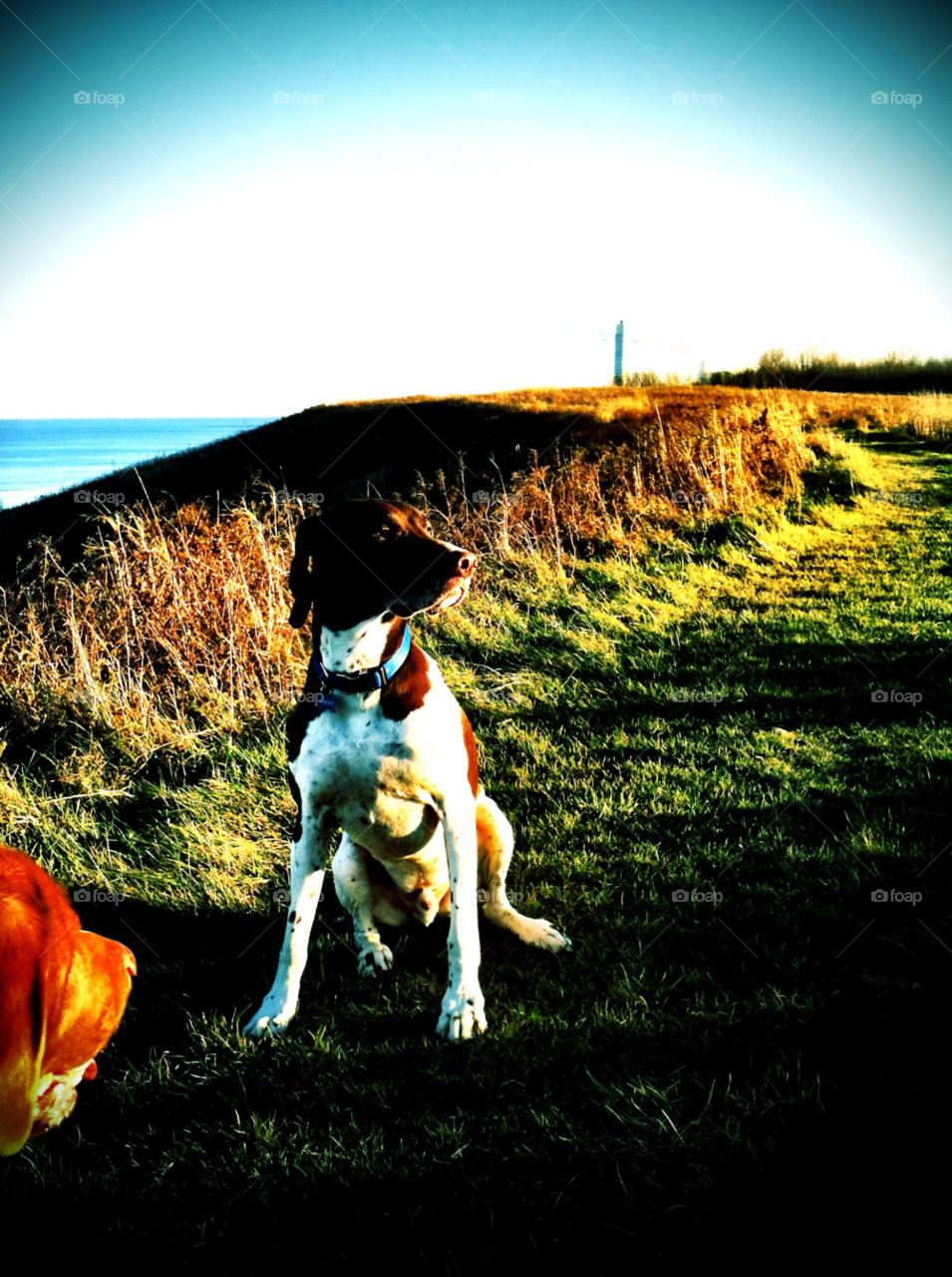 oak creek wi hiking pointer by doug414