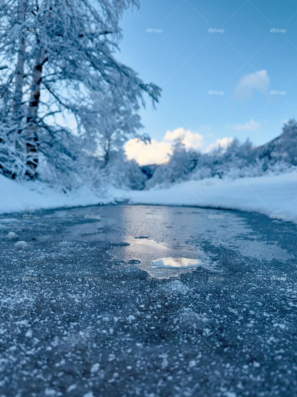 Fresh fluffy snow on a puddle 