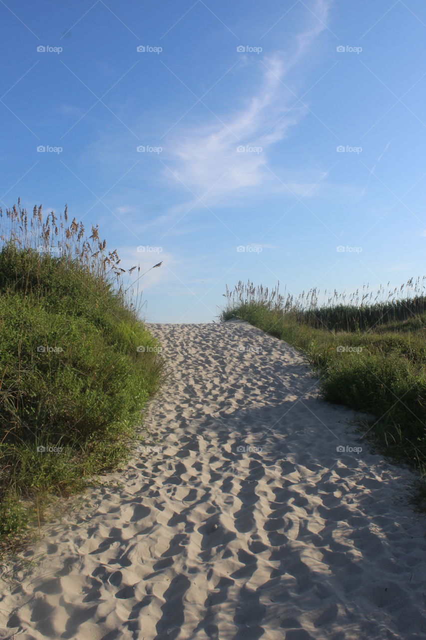 Path to Happiness on the Beach.