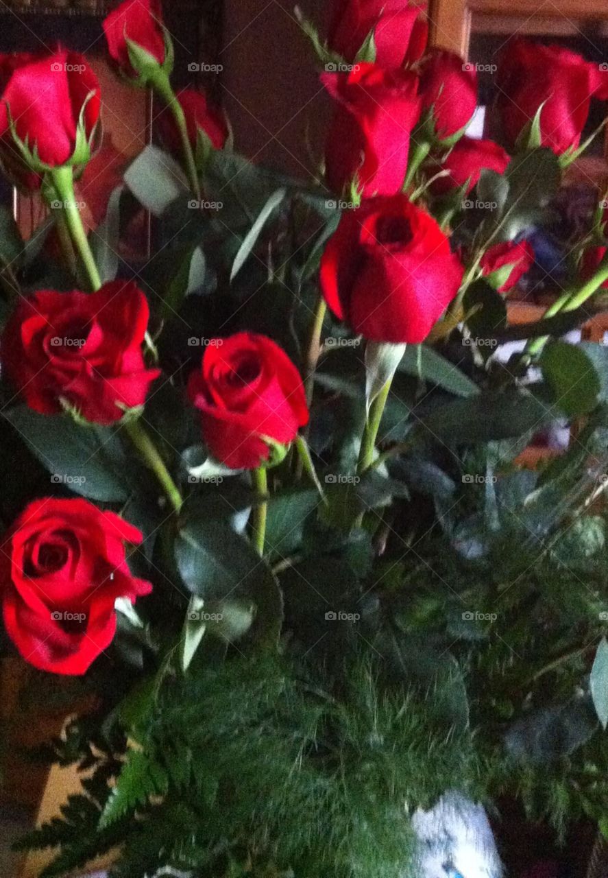 Roses
