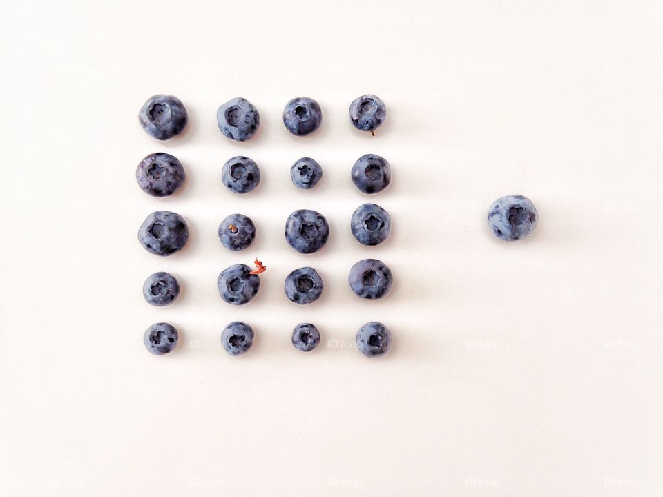 Blueberries . Geometry with blueberries , food design 