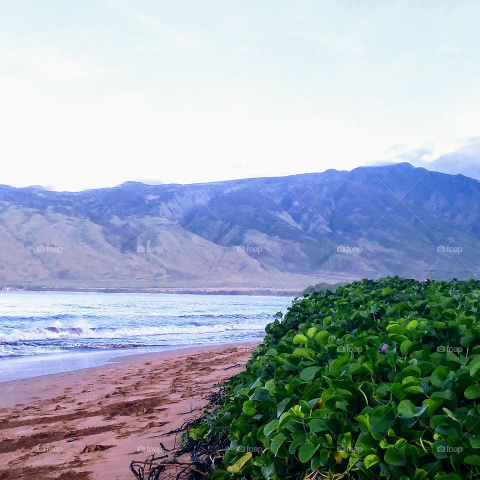 a peaceful walk by the ocean with a mountain background