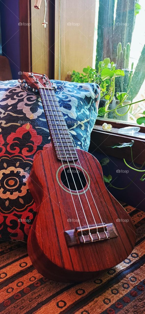 Ukulele musical instrument