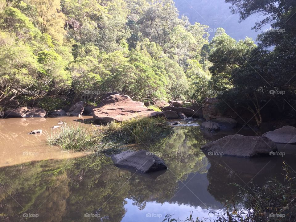 Nice scenery with bush and river