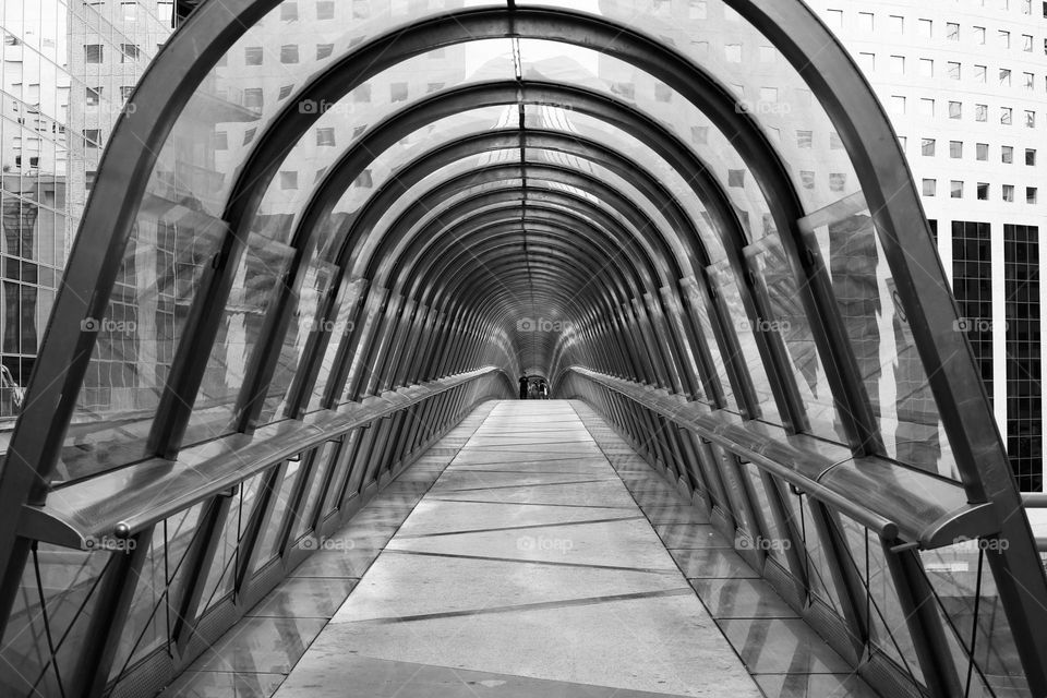 Symmetric glass bridge 
