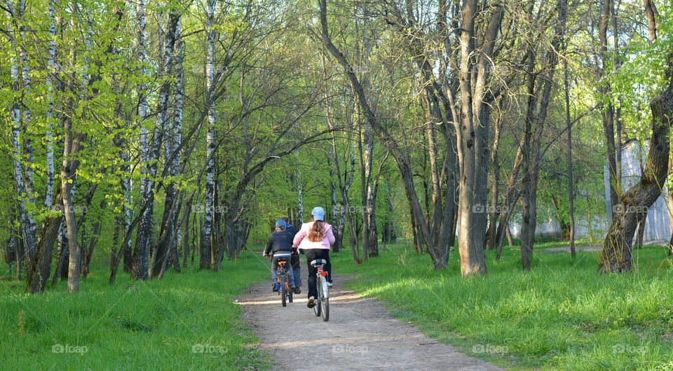 family riding on a bikes in the green spring park, love green 💚, lifestyle