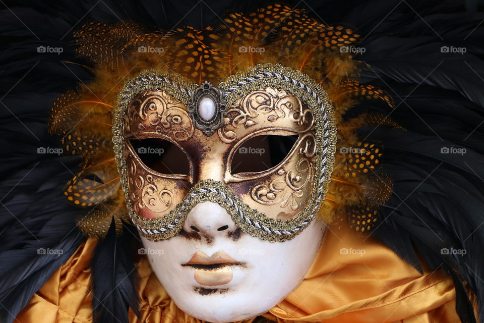 Carnival in Venice. Carnival in Venice