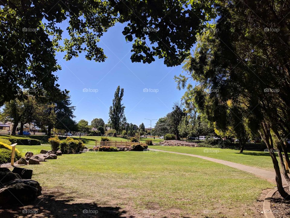 A bright sunny afternoon in the Park