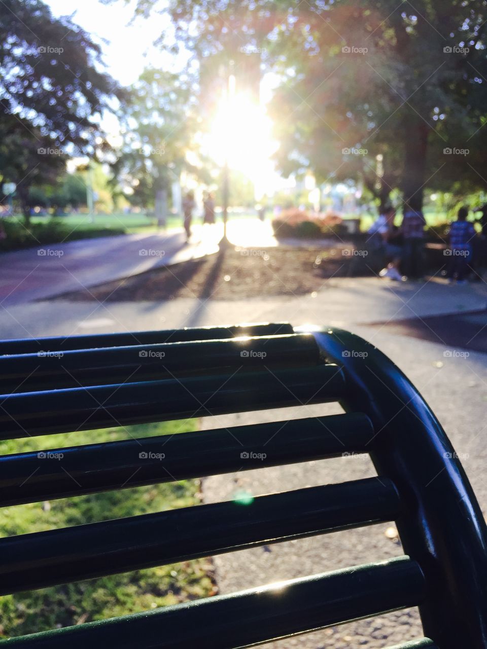 Park bench . Evening time click from park bench in Atlanta 