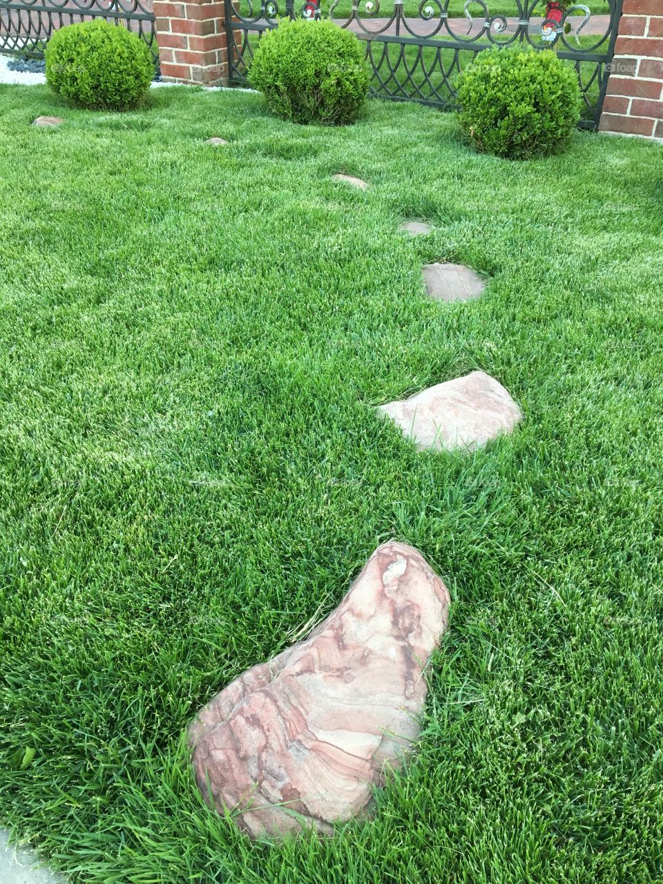 Камни, трава...