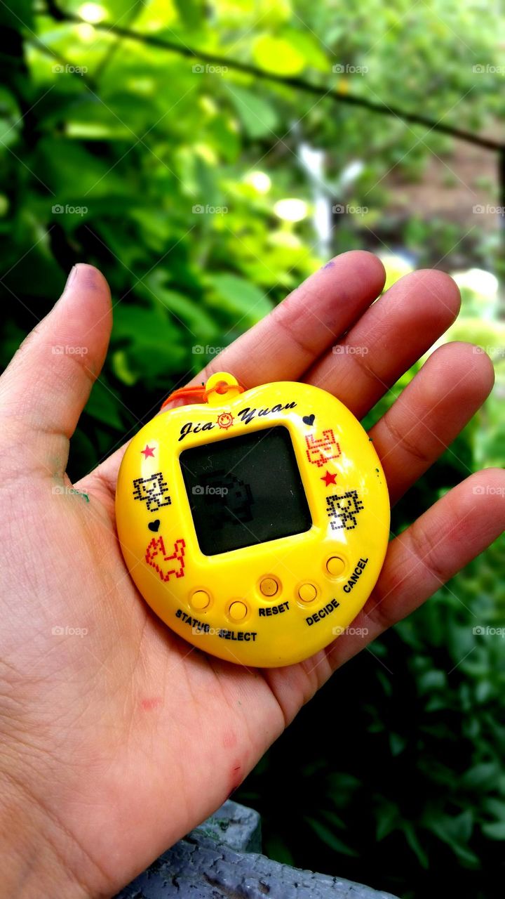 Tomagotchi