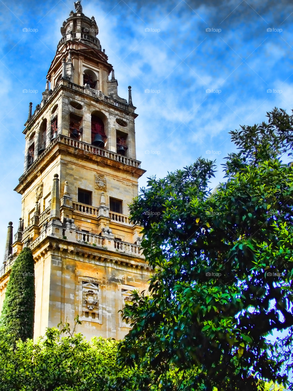 Torre de la Catedral de Cordoba (spain) . Foto tomada desde el patio de los naranjos. 