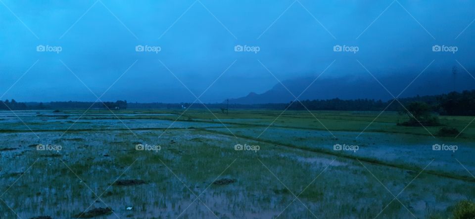 Mind blowing view of nature...A farming feild on a heavy rain