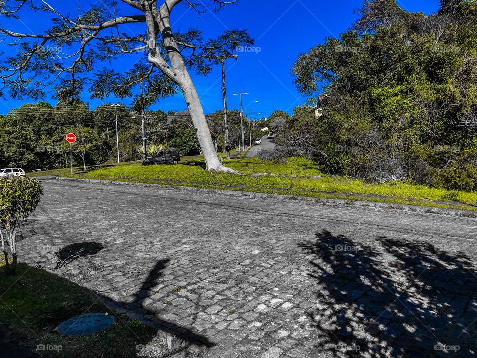 Nature mix the urban