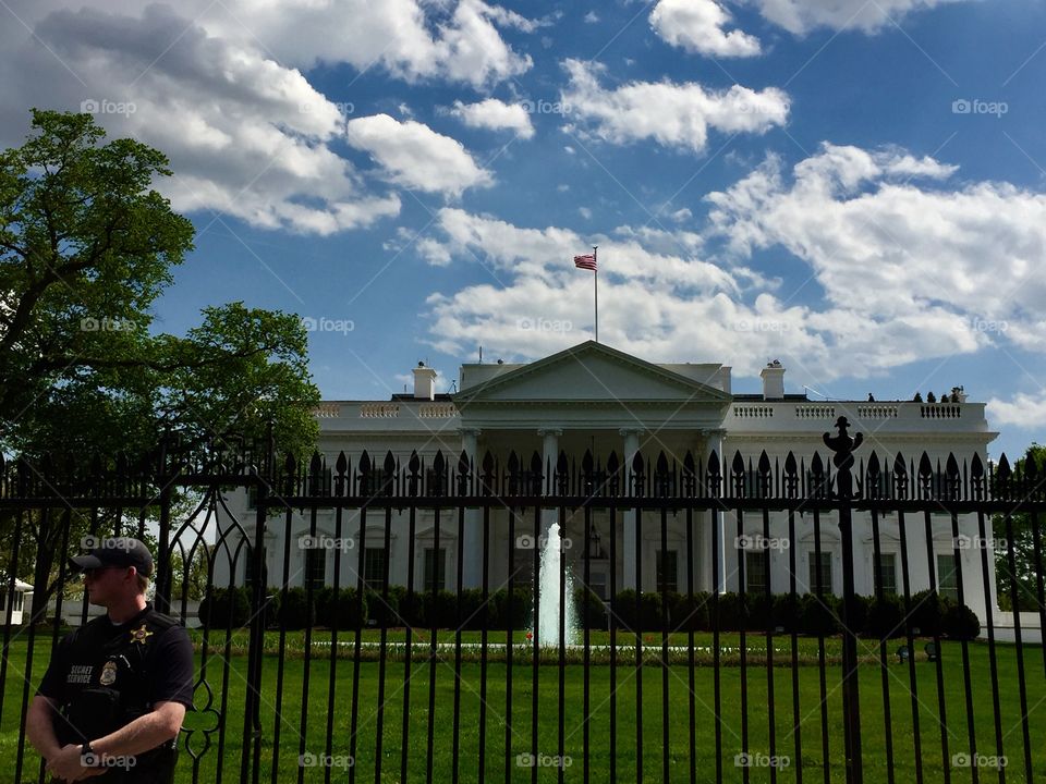 White House Building 