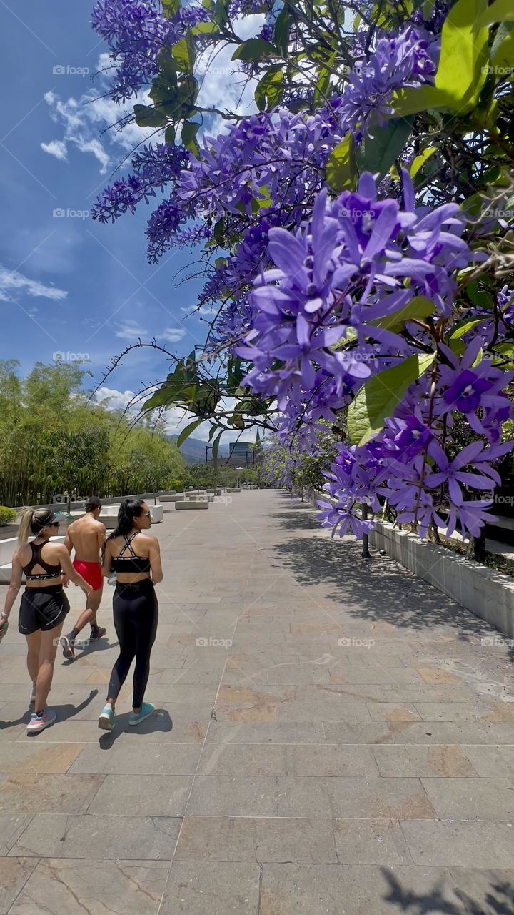 Working out in the spring 