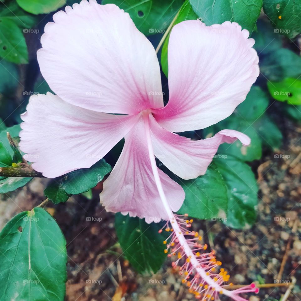 just click lover ❤☺😇